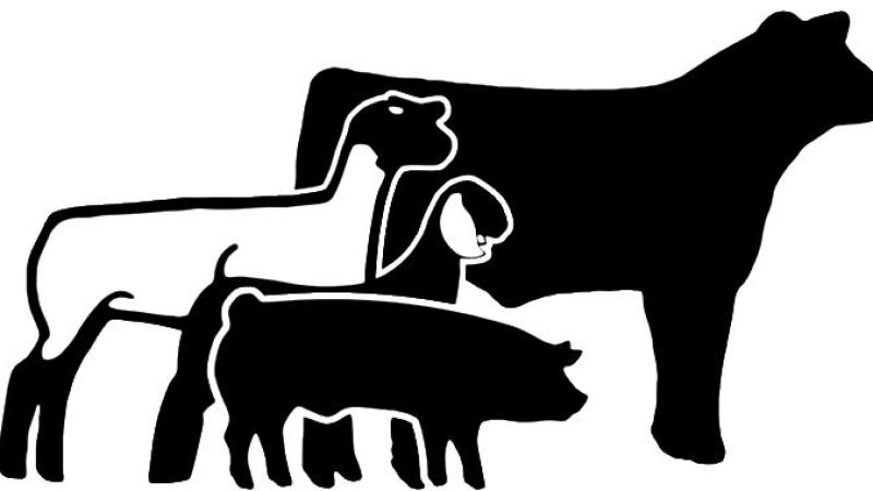 graphic of livestock market animals