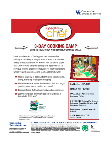 Super Star Chef